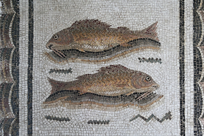 Musée du Bardo-080